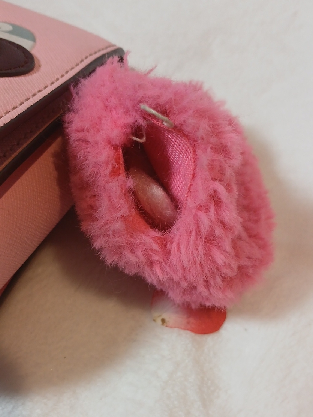 Kate Spade Light Pink Leather Crossbody W/ Heart & Bird Appliqué - Picture 5 of 7